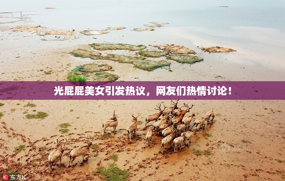 光屁屁美女引发热议，网友们热情讨论！