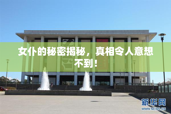 女仆的秘密揭秘，真相令人意想不到！