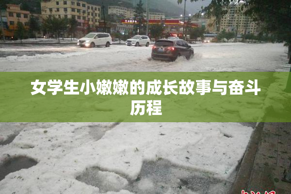 女学生小嫩嫩的成长故事与奋斗历程