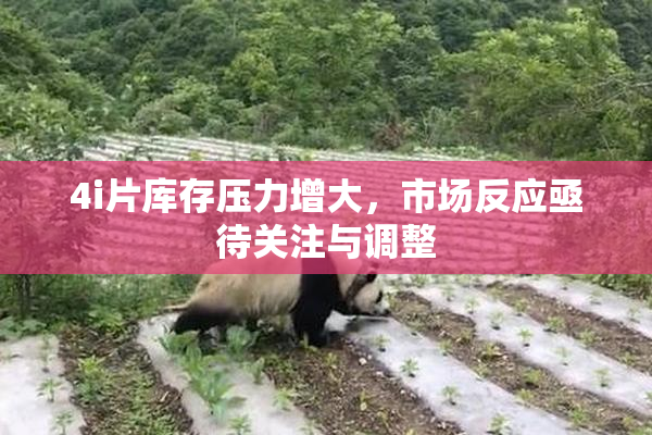 4i片库存压力增大，市场反应亟待关注与调整