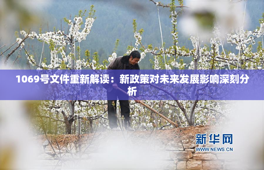 1069号文件重新解读：新政策对未来发展影响深刻分析