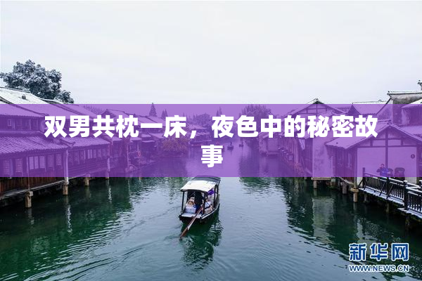 双男共枕一床，夜色中的秘密故事