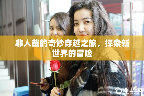 非人哉的奇妙穿越之旅，探索新世界的冒险