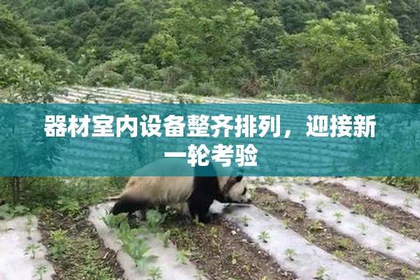 器材室内设备整齐排列，迎接新一轮考验