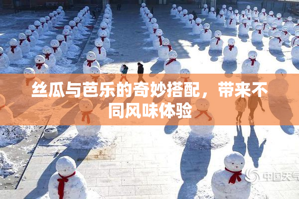 丝瓜与芭乐的奇妙搭配，带来不同风味体验