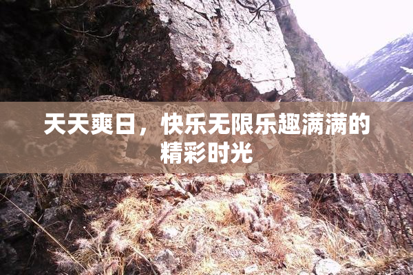 天天爽日，快乐无限乐趣满满的精彩时光
