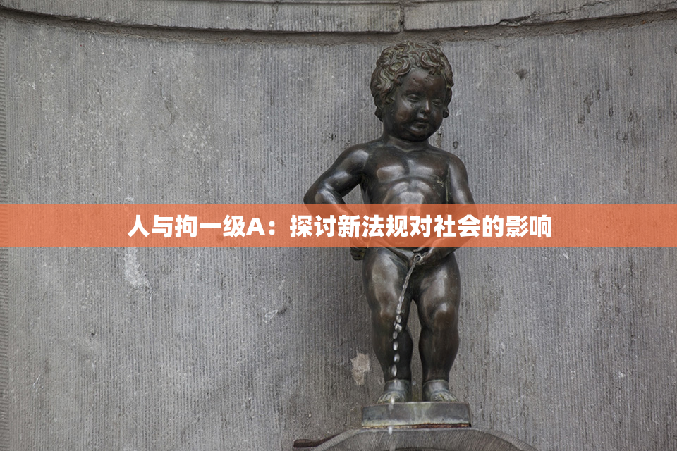 人与拘一级A：探讨新法规对社会的影响