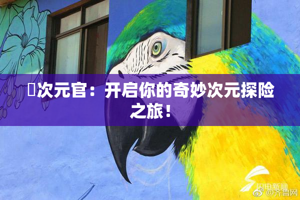 囧次元官：开启你的奇妙次元探险之旅！