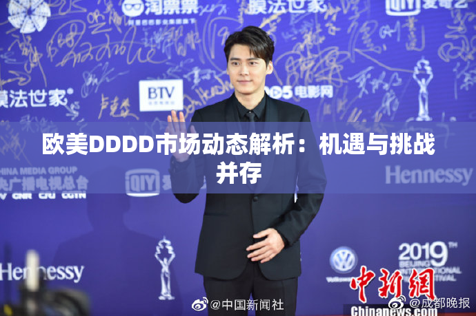 欧美DDDD市场动态解析：机遇与挑战并存