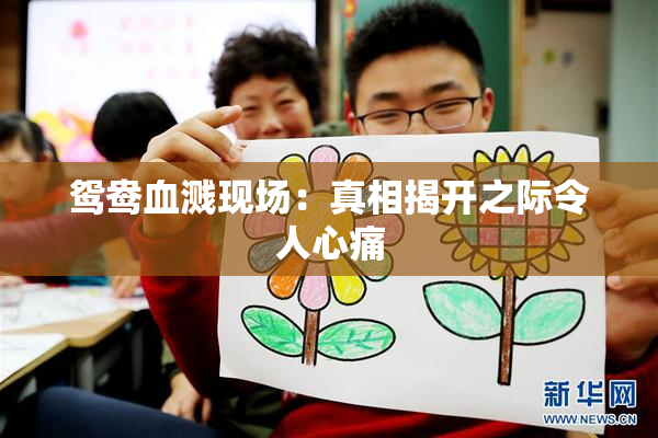 鸳鸯血溅现场：真相揭开之际令人心痛