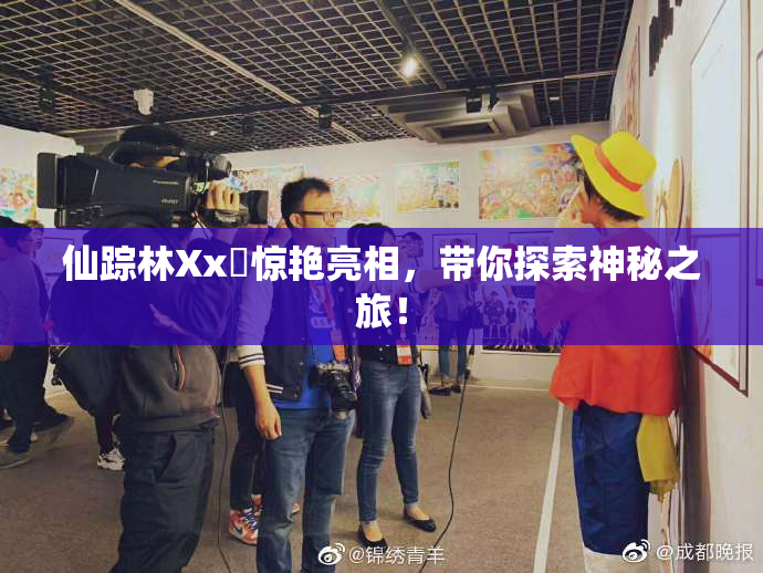 仙踪林Xx乂惊艳亮相，带你探索神秘之旅！