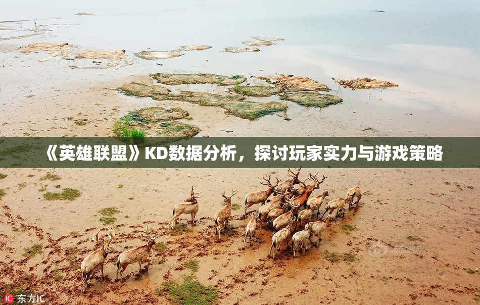 《英雄联盟》KD数据分析，探讨玩家实力与游戏策略