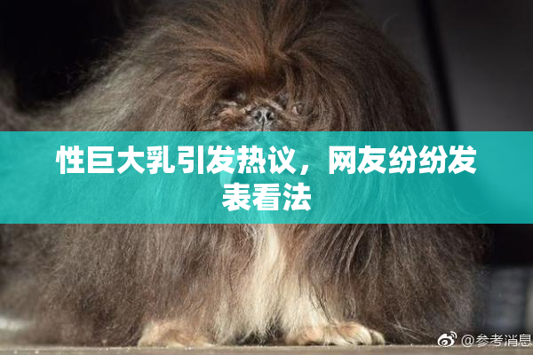 性巨大乳引发热议，网友纷纷发表看法