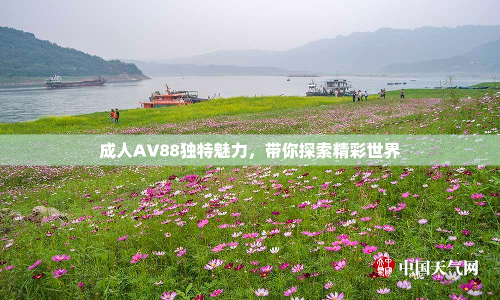 成人AV88独特魅力，带你探索精彩世界