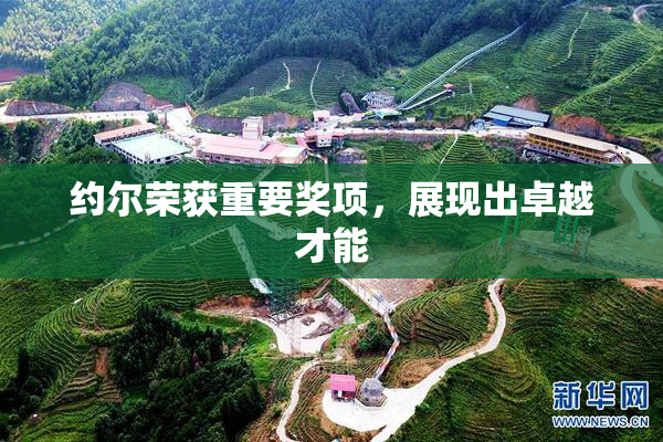 约尔荣获重要奖项，展现出卓越才能