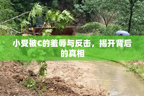 小受被C的羞辱与反击，揭开背后的真相