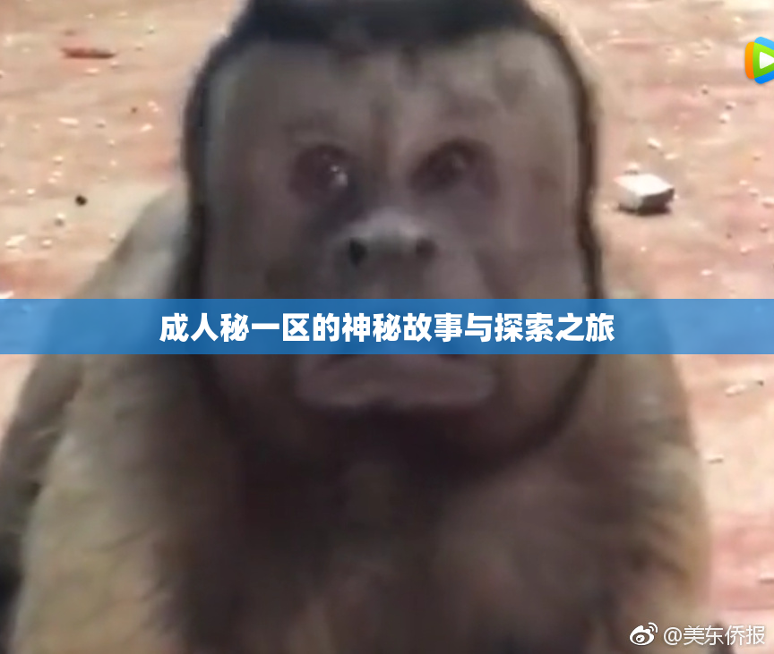 成人秘一区的神秘故事与探索之旅