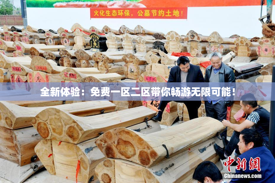 全新体验：免费一区二区带你畅游无限可能！