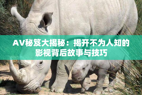 AV秘笈大揭秘：揭开不为人知的影视背后故事与技巧