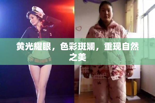 黄光耀眼，色彩斑斓，重现自然之美