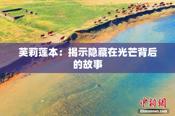 芙莉莲本：揭示隐藏在光芒背后的故事