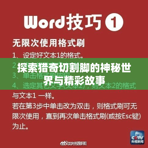 探索猎奇切割脚的神秘世界与精彩故事