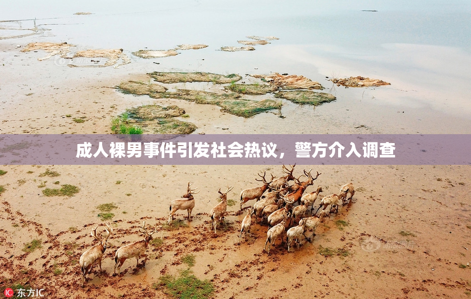 成人裸男事件引发社会热议，警方介入调查