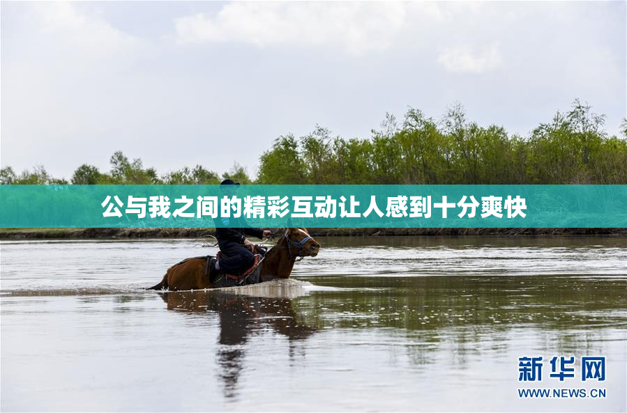 公与我之间的精彩互动让人感到十分爽快
