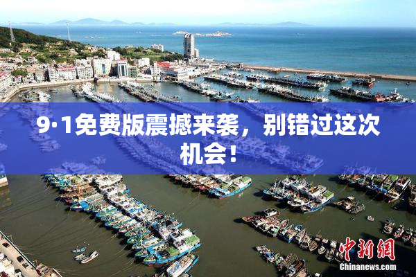 9·1免费版震撼来袭，别错过这次机会！
