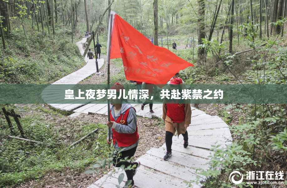 皇上夜梦男儿情深，共赴紫禁之约