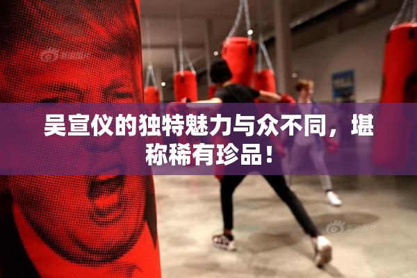 吴宣仪的独特魅力与众不同，堪称稀有珍品！