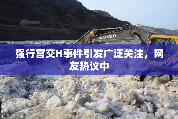 强行宫交H事件引发广泛关注，网友热议中
