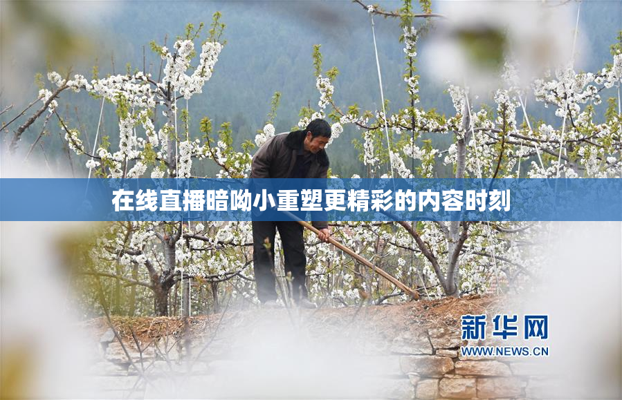 在线直播暗呦小重塑更精彩的内容时刻