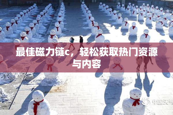 最佳磁力链c，轻松获取热门资源与内容