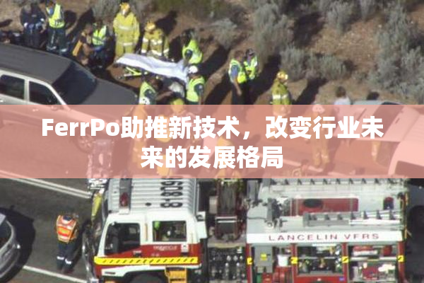 FerrPo助推新技术，改变行业未来的发展格局