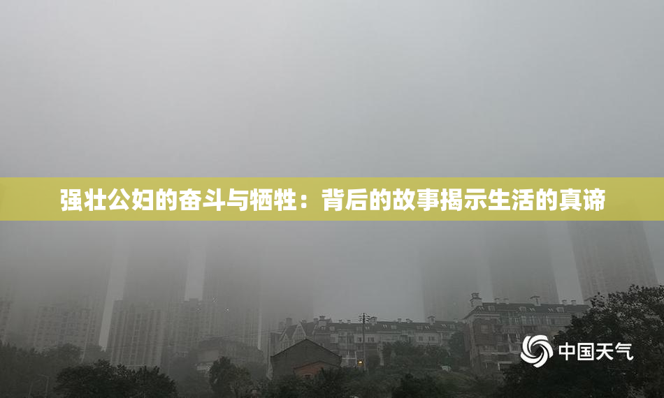 强壮公妇的奋斗与牺牲：背后的故事揭示生活的真谛
