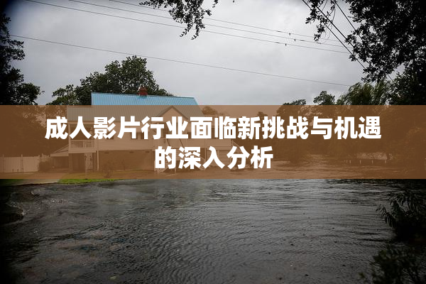 成人影片行业面临新挑战与机遇的深入分析