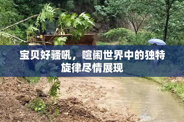宝贝好骚吼，喧闹世界中的独特旋律尽情展现