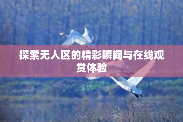 探索无人区的精彩瞬间与在线观赏体验
