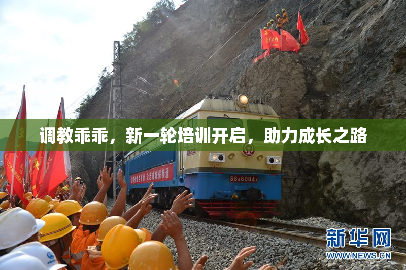 调教乖乖，新一轮培训开启，助力成长之路