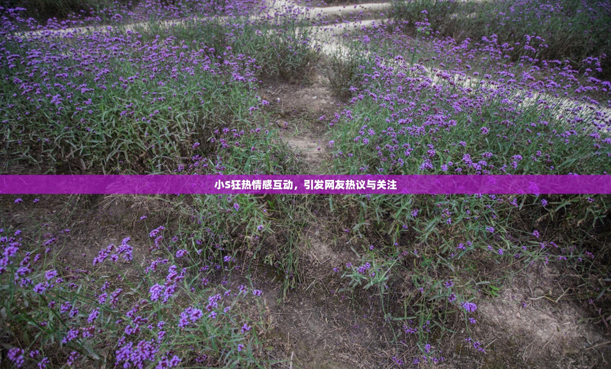 小S狂热情感互动，引发网友热议与关注