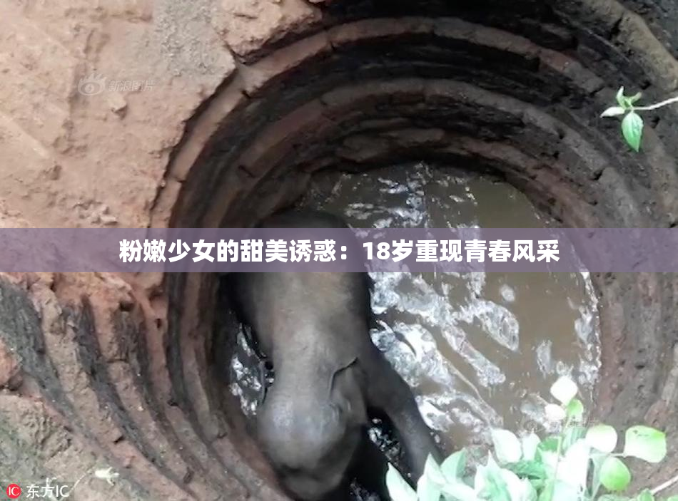 粉嫩少女的甜美诱惑：18岁重现青春风采