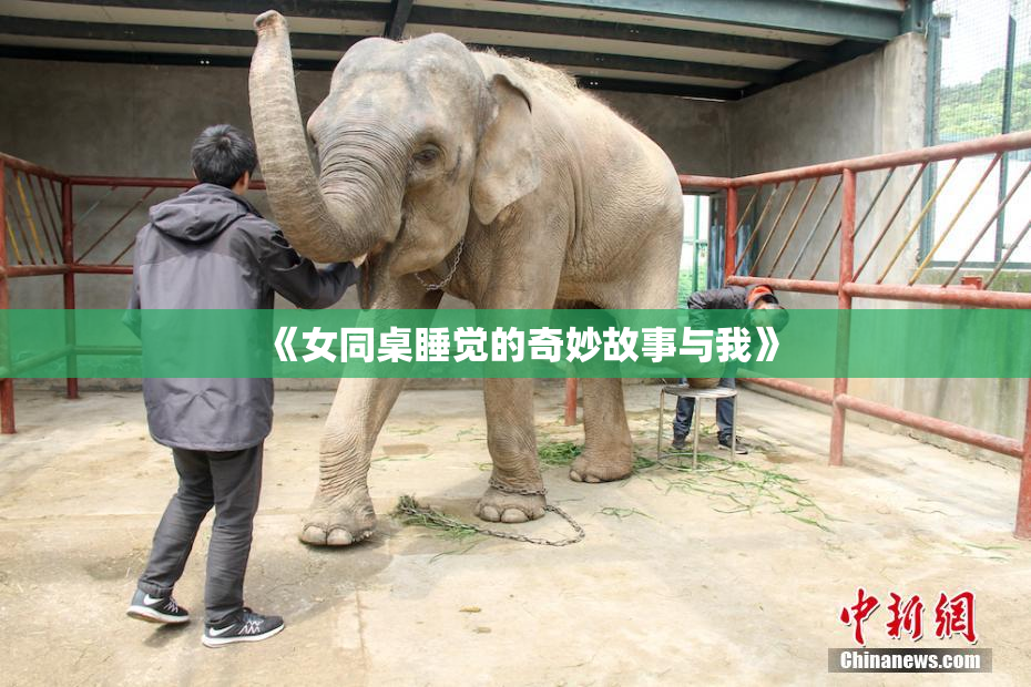 《女同桌睡觉的奇妙故事与我》