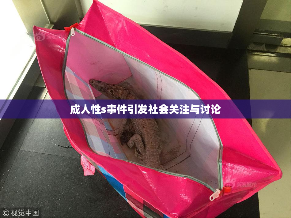 成人性s事件引发社会关注与讨论