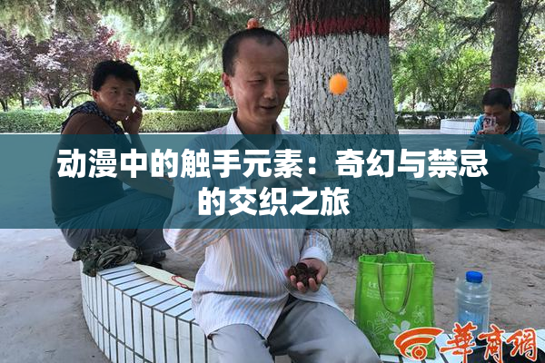动漫中的触手元素：奇幻与禁忌的交织之旅