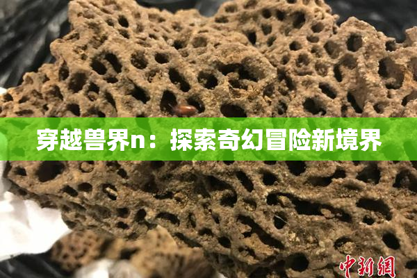 穿越兽界n：探索奇幻冒险新境界