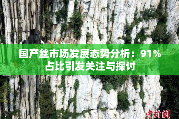 国产丝市场发展态势分析：91%占比引发关注与探讨
