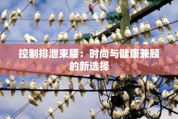 控制排泄束腰：时尚与健康兼顾的新选择