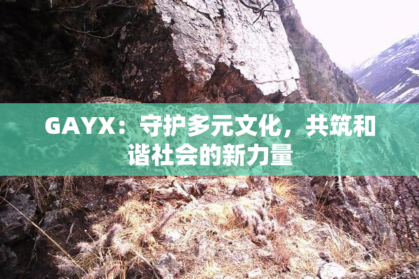 GAYX：守护多元文化，共筑和谐社会的新力量
