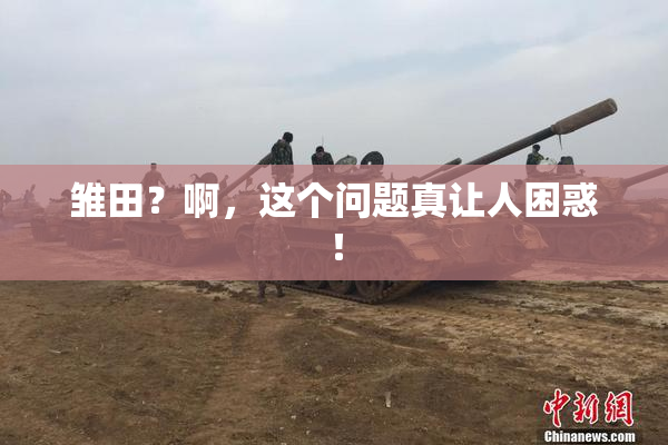 雏田？啊，这个问题真让人困惑！